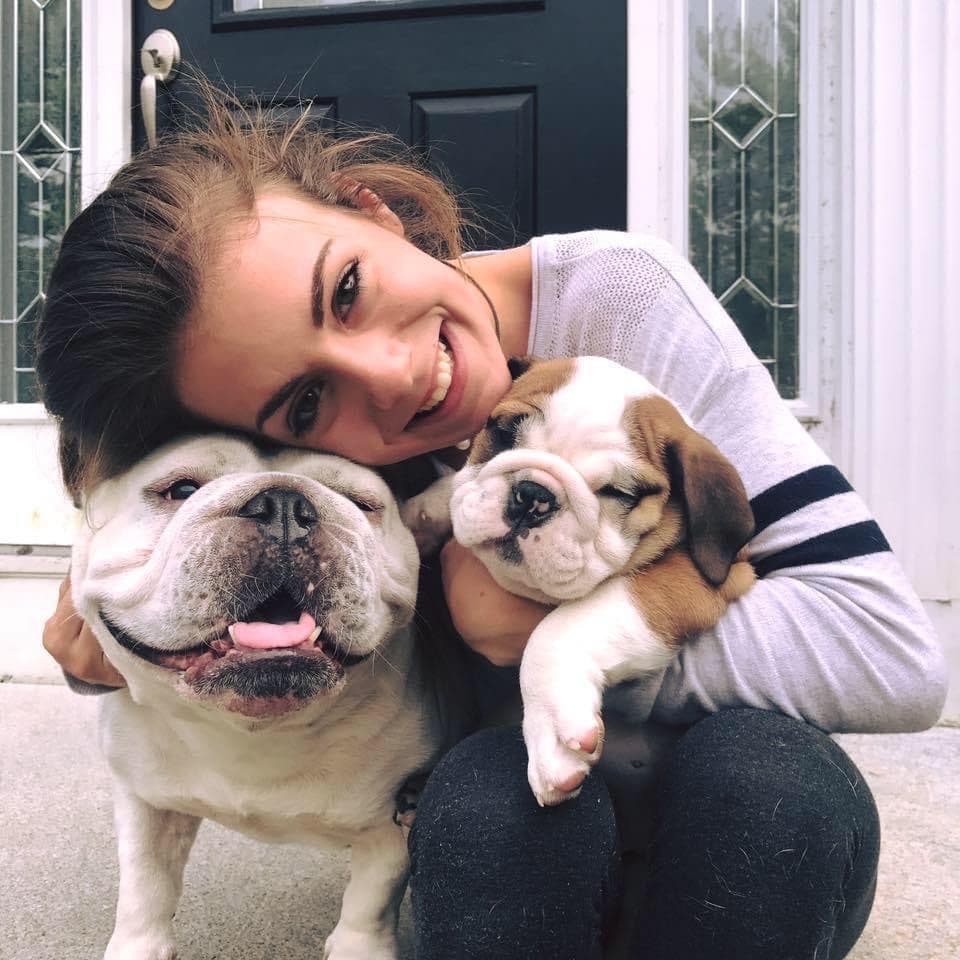 Brie, Veterinary Assistant, kneeling with an adult bulldog and a bulldog puppy.